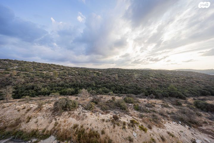 דירה, נתיבות ישראל / רמת בית שמש ד-4, בית שמש