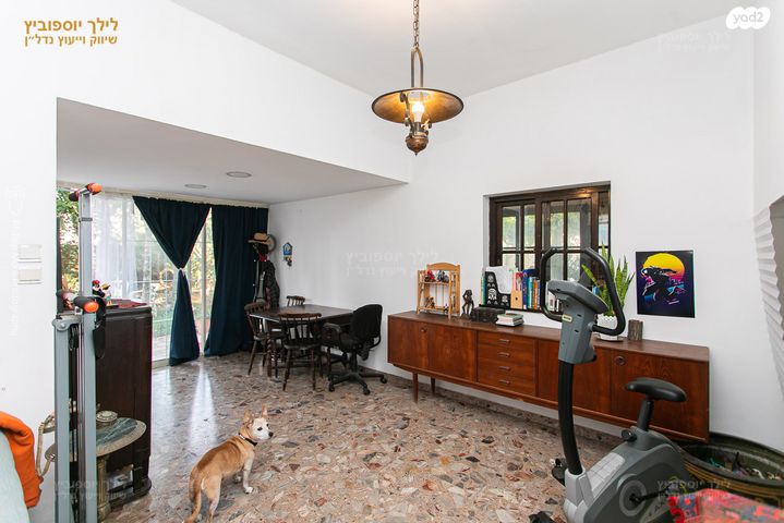 טריפלקס, רות, כרמליה, חיפה