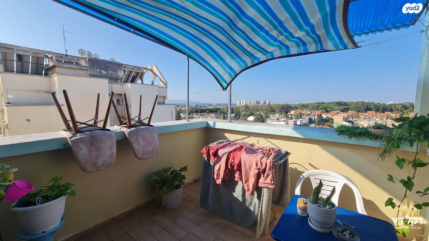 דירה, שלמה קליין, עכו