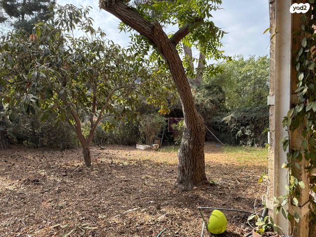 בית פרטי/ קוטג', עין כרם, ירושלים