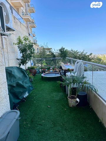 דירת גן, יהושע גלוברמן, סביוני הכרמל, חיפה