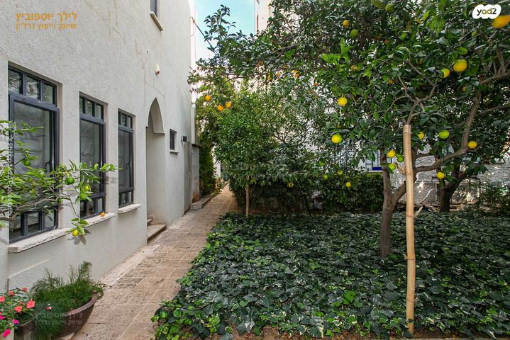 טריפלקס, רות, כרמליה, חיפה