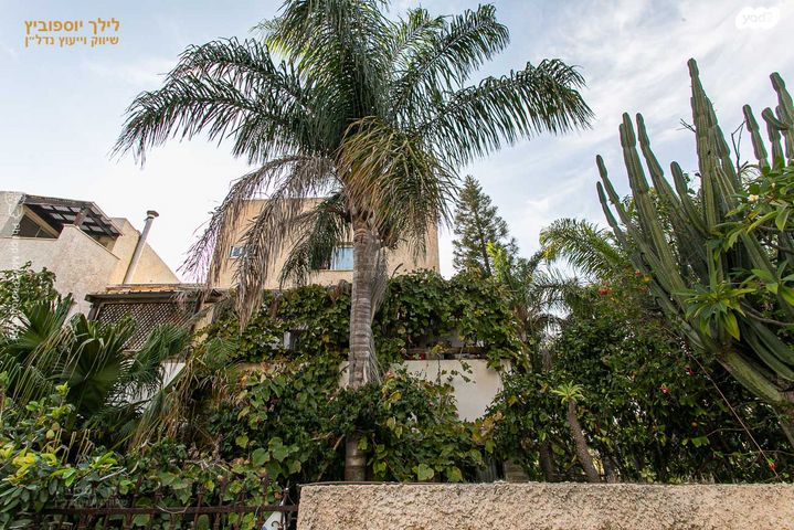 בית פרטי/ קוטג', כרמליה, חיפה