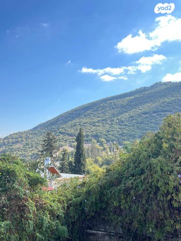 קיבוץ גלויות 