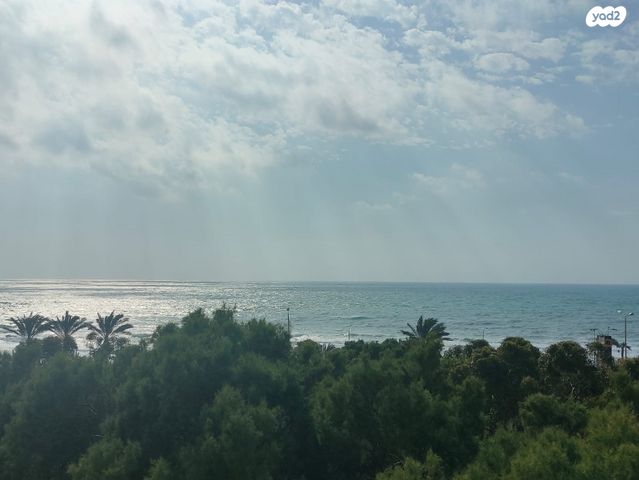 דירה, המלך אסא, נווה דוד, חיפה