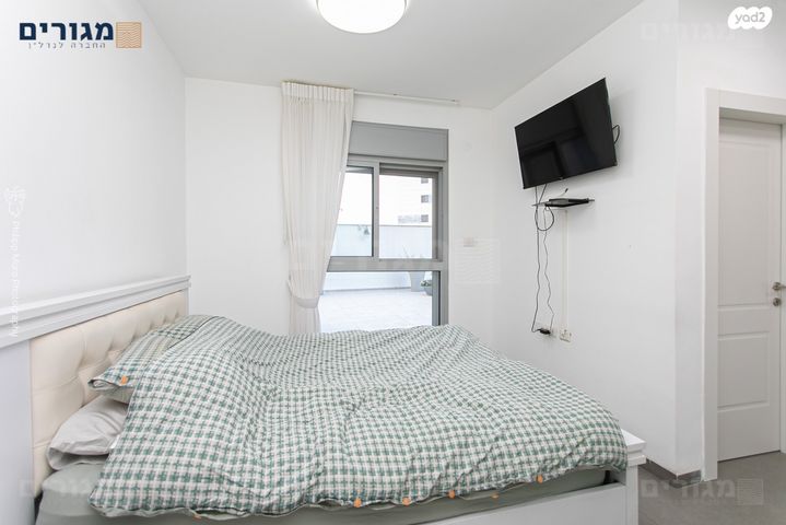 דירת גן, דולפין, טירת כרמל