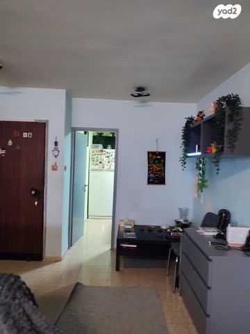 דירה, עינות, ערד