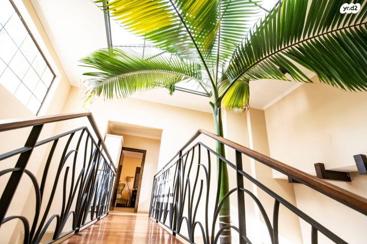 משק חקלאי/ נחלה, העקרונים 49, ביצרון, ביצרון