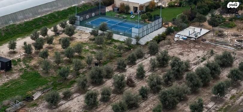 משק חקלאי/ נחלה, העקרונים 49, ביצרון, ביצרון