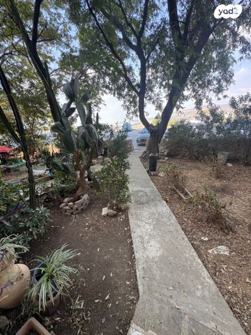 דירת גן, אהבת ישראל, קרית אריה / שיינפלד, בית שמש