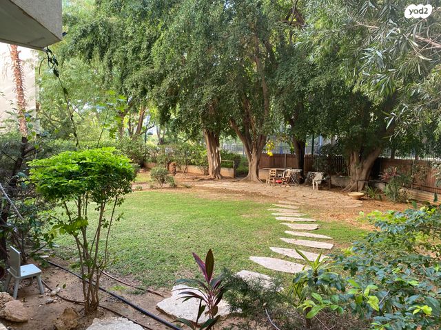 דירה, כפר סבא