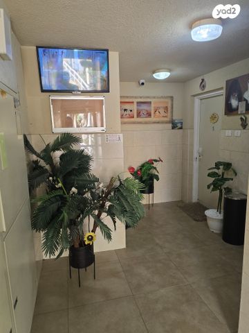 גדעון האוזנר 