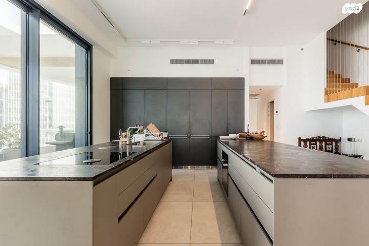 גג/ פנטהאוז, ישראל טל, תל אביב יפו