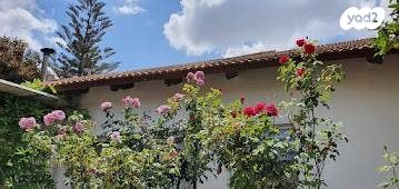 בית פרטי/ קוטג', גיזו