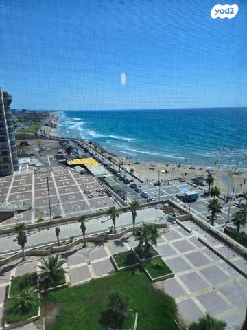 דוד אלעזר 10