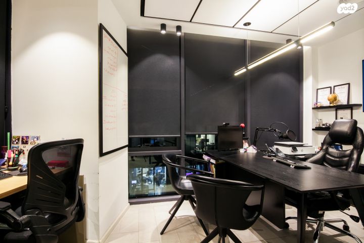 משרדים, פרופ' אברהם פצ'ורניק, שאר העיר, נס ציונה