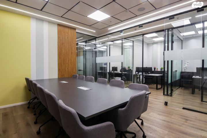 משרדים, פרופ' אברהם פצ'ורניק, שאר העיר, נס ציונה