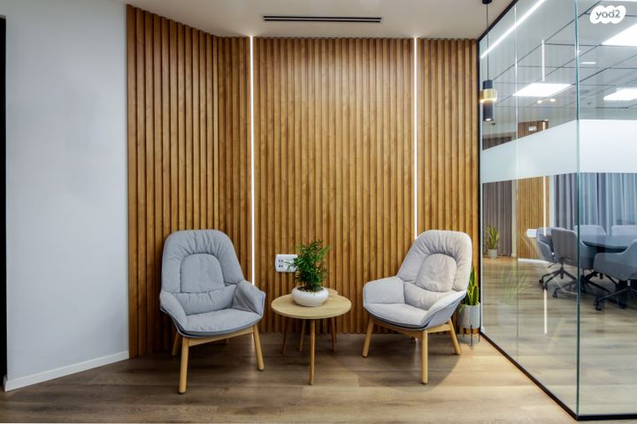 משרדים, פרופ' אברהם פצ'ורניק, שאר העיר, נס ציונה