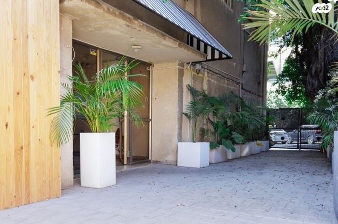 יהודה הלוי 40