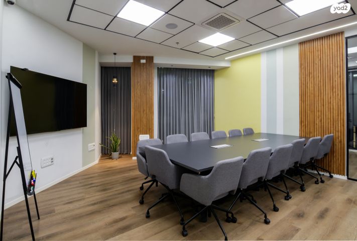 משרדים, פרופ' אברהם פצ'ורניק, שאר העיר, נס ציונה