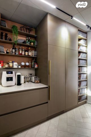 משרדים, פרופ' אברהם פצ'ורניק, שאר העיר, נס ציונה