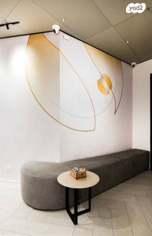 משרדים, פרופ' אברהם פצ'ורניק, שאר העיר, נס ציונה