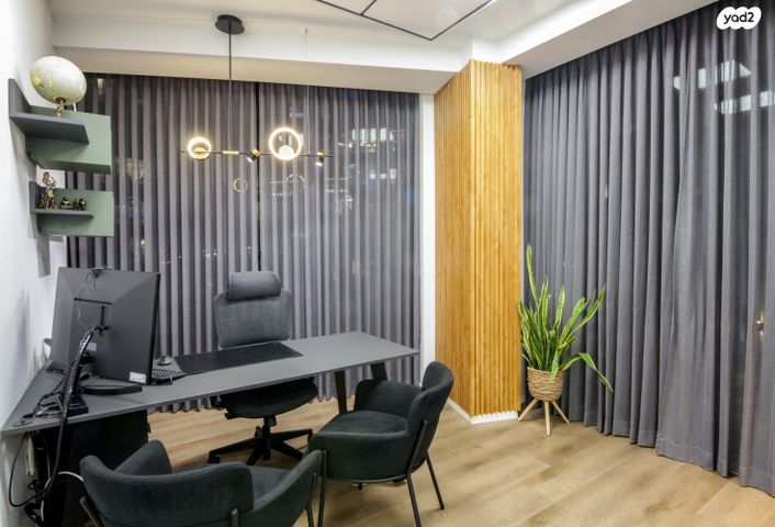 משרדים, פרופ' אברהם פצ'ורניק, שאר העיר, נס ציונה