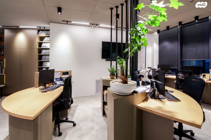 משרדים, פרופ' אברהם פצ'ורניק, שאר העיר, נס ציונה