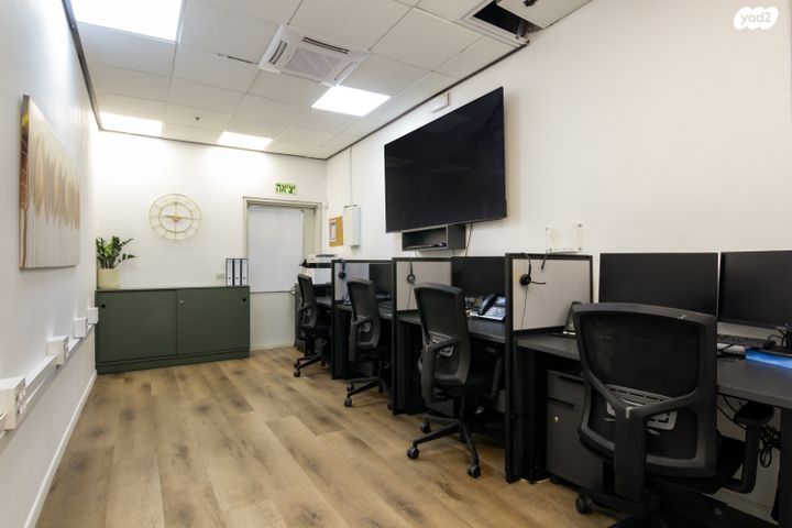 משרדים, פרופ' אברהם פצ'ורניק, שאר העיר, נס ציונה