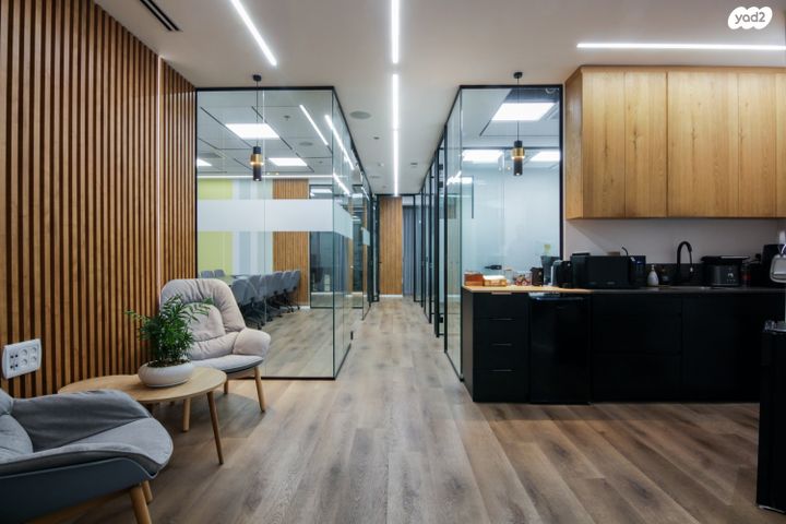 משרדים, פרופ' אברהם פצ'ורניק, שאר העיר, נס ציונה