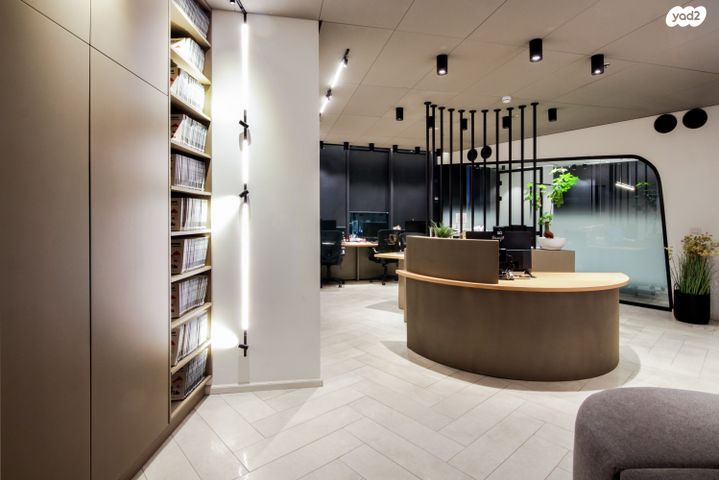 משרדים, פרופ' אברהם פצ'ורניק, שאר העיר, נס ציונה