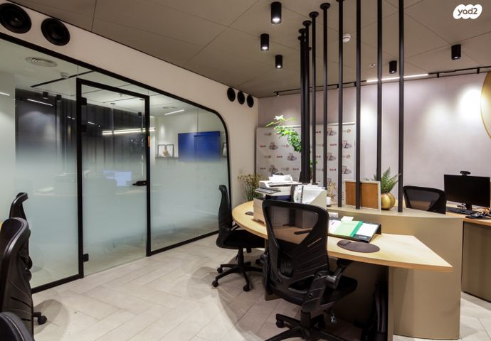 משרדים, פרופ' אברהם פצ'ורניק, שאר העיר, נס ציונה