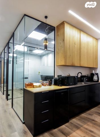 משרדים, פרופ' אברהם פצ'ורניק, שאר העיר, נס ציונה