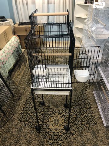 תוכי קוקוטייל