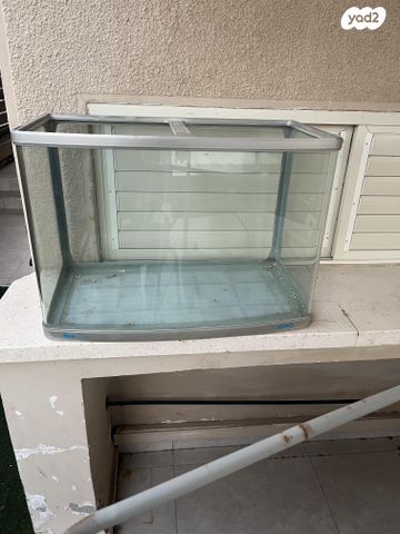 תמונת מודעה - חיות מחמד