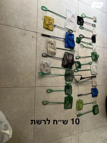 תמונת מודעה - חיות מחמד