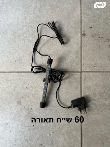 תמונת מודעה - חיות מחמד