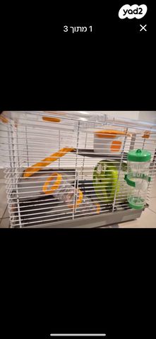 תמונת מודעה - חיות מחמד