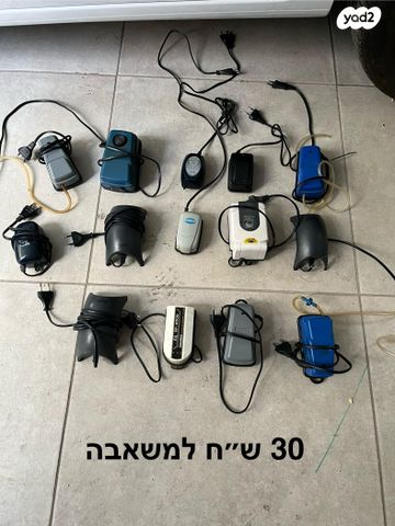 תמונת מודעה - חיות מחמד