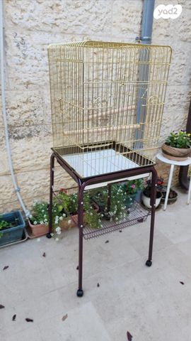 תמונת מודעה - חיות מחמד