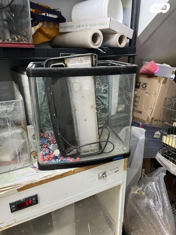 תמונת מודעה - חיות מחמד