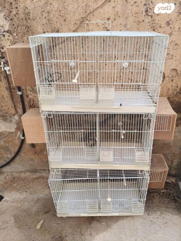 תמונת מודעה - חיות מחמד