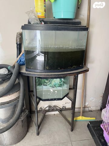 תמונת מודעה - חיות מחמד