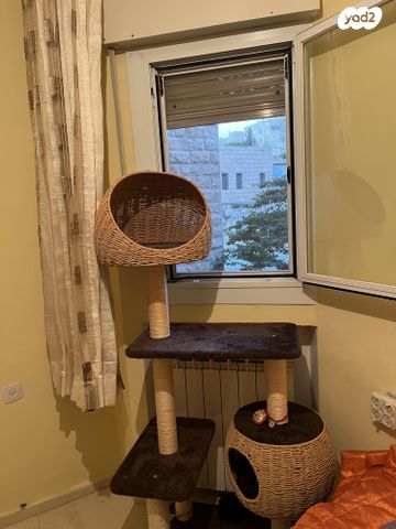 תמונת מודעה - חיות מחמד