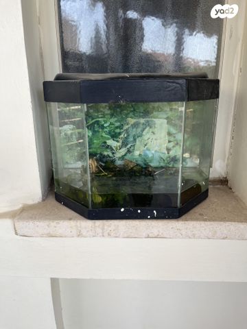 תמונת מודעה - חיות מחמד