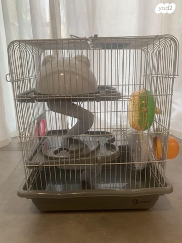 תמונת מודעה - חיות מחמד