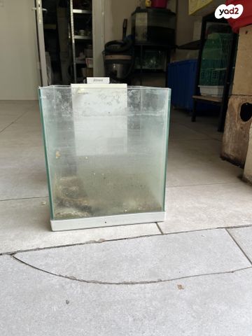 תמונת מודעה - חיות מחמד