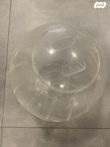 תמונת מודעה - חיות מחמד