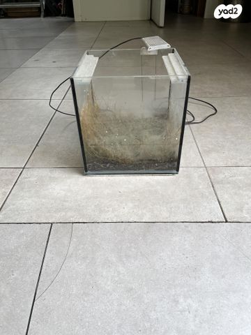 תמונת מודעה - חיות מחמד