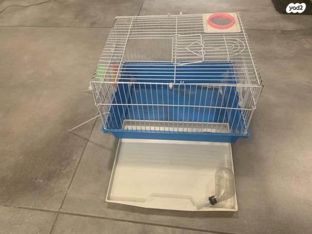 תמונת מודעה - חיות מחמד